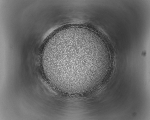 X0000113601208200910021733