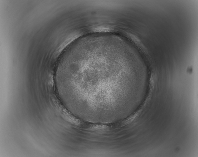 X0000113601209200910021733