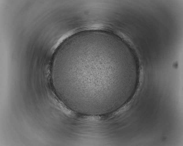 X0000113601210200910021733