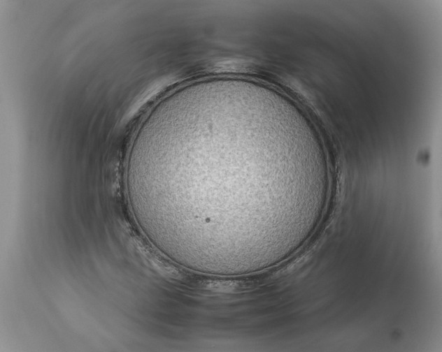 X0000113601211200910021733