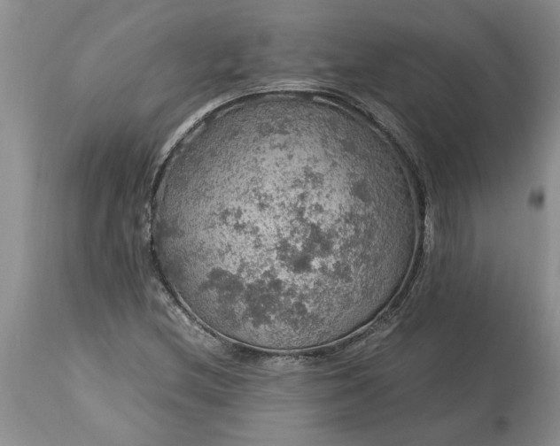 X0000113601212200910021733