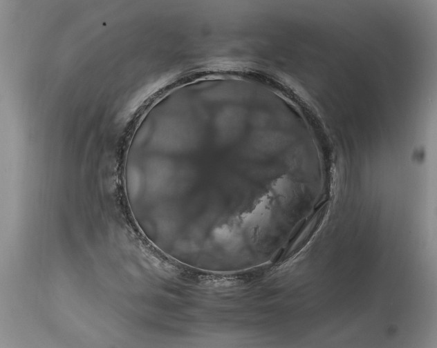 X0000113601213200910021733