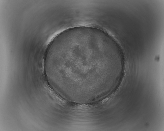 X0000113601214200910021733