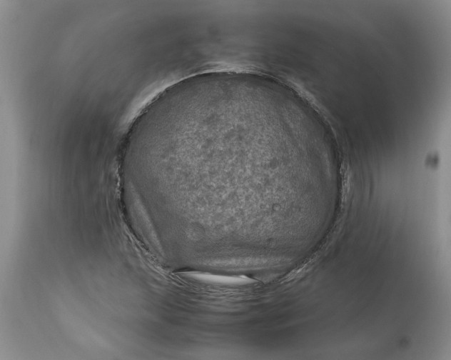 X0000113601215200910021733