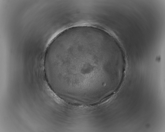 X0000113601216200910021733