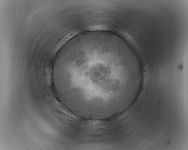 X0000113601217200910021733