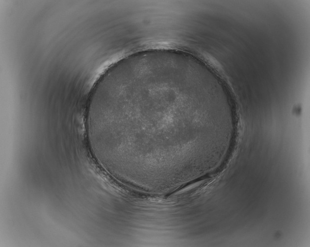 X0000113601218200910021733