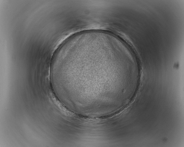 X0000113601220200910021733