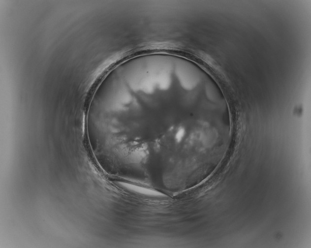 X0000113601221200910021733