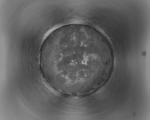 X0000113601222200910021733