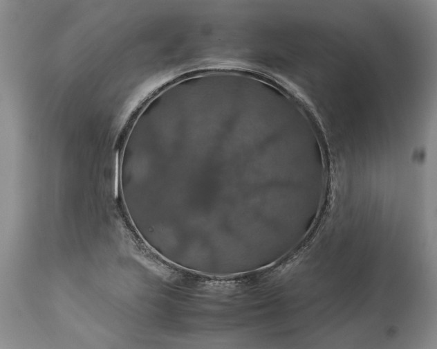 X0000113601223200910021733