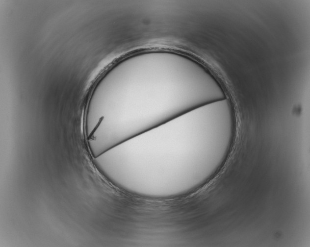 X0000113601224200910021733