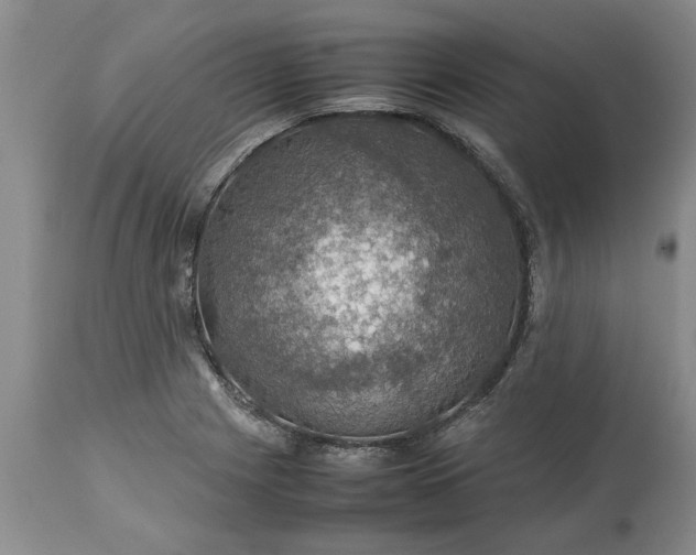 X0000113601225200910021733