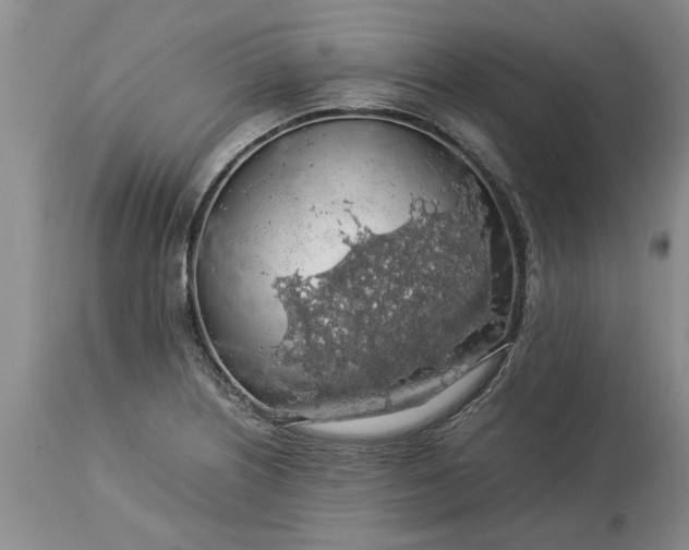 X0000113601226200910021733