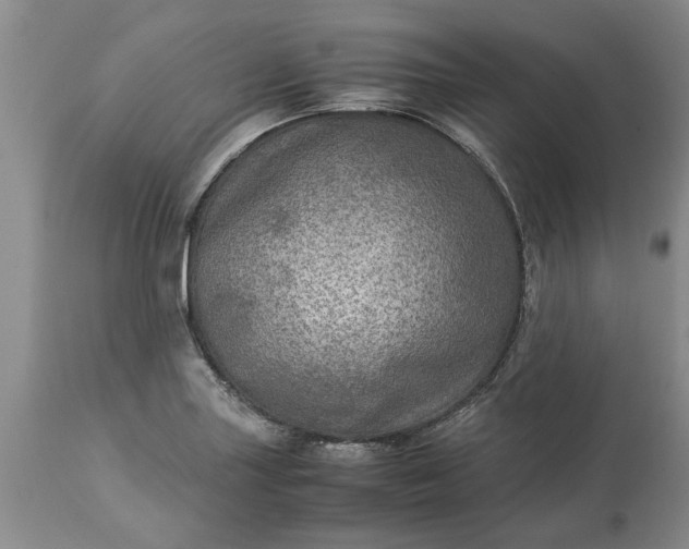 X0000113601227200910021733