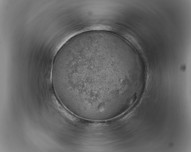 X0000113601228200910021733