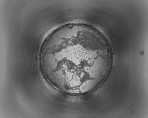 X0000113601229200910021733