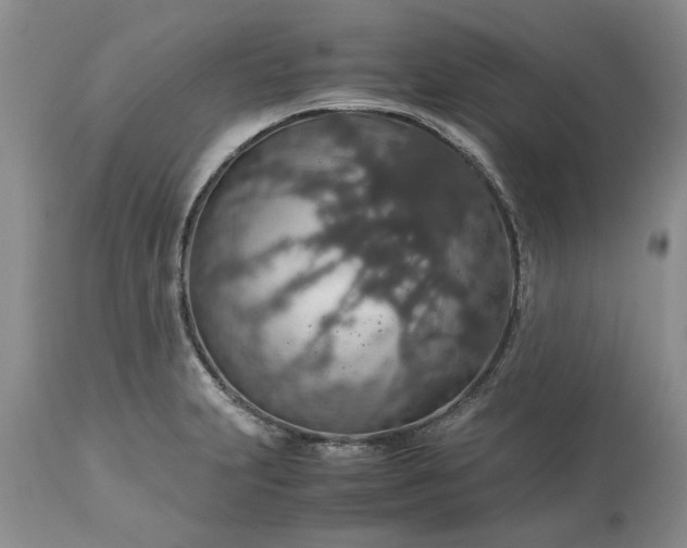 X0000113601231200910021733