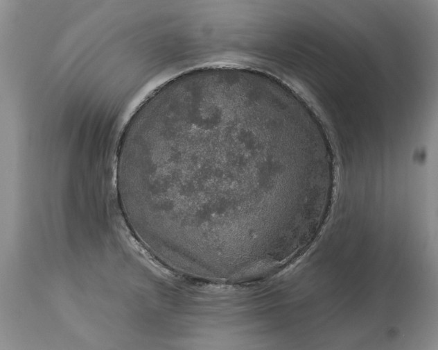 X0000113601232200910021733