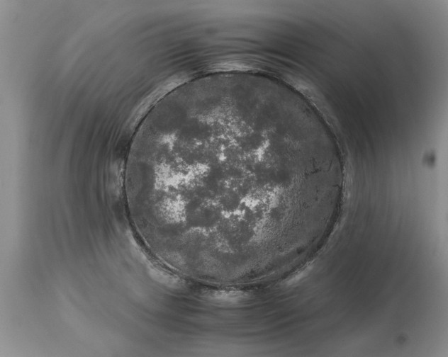 X0000113601233200910021733