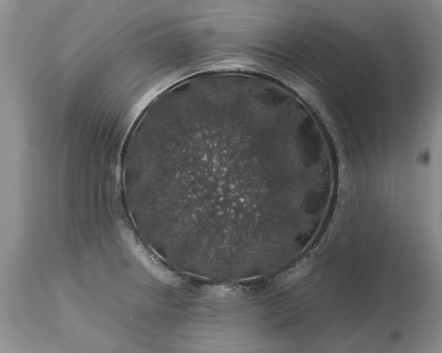 X0000113601234200910021733