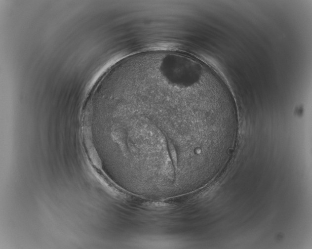 X0000113601235200910021733