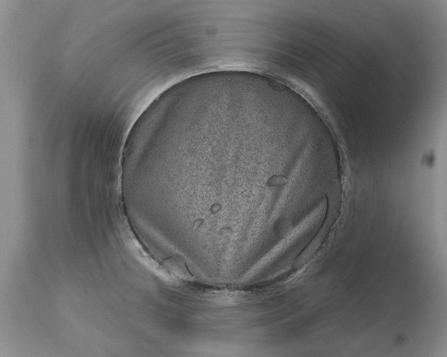 X0000113601236200910021733