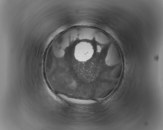 X0000113601237200910021733