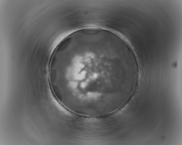 X0000113601239200910021733