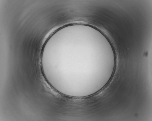 X0000113601240200910021733