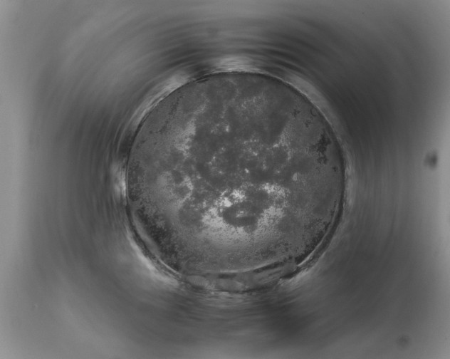 X0000113601241200910021733