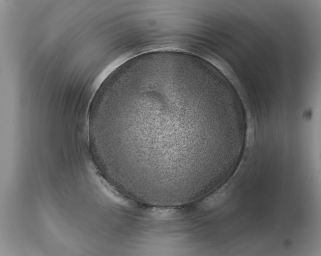 X0000113601242200910021733