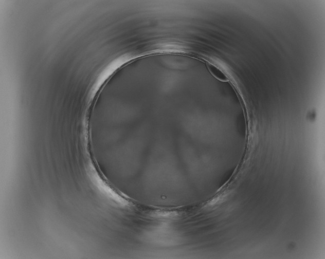 X0000113601243200910021733