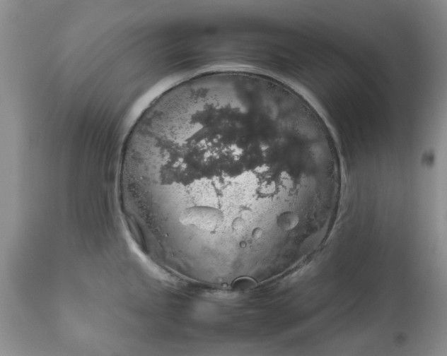 X0000113601245200910021733