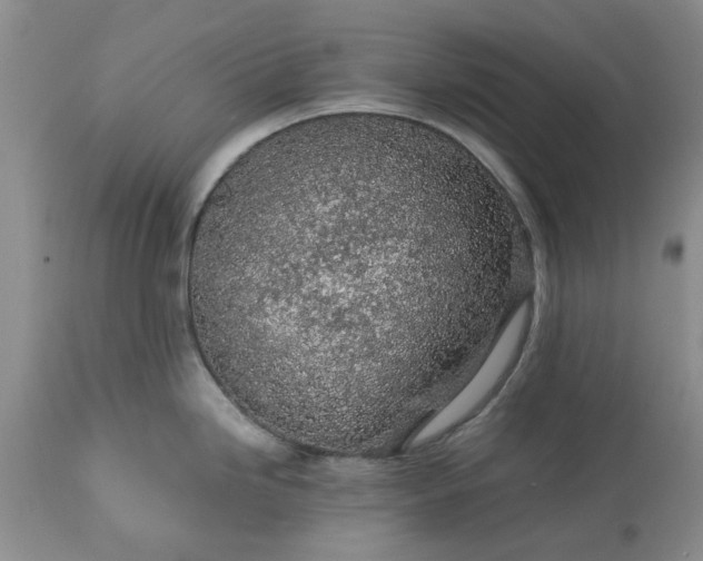 X0000113601246200910021733