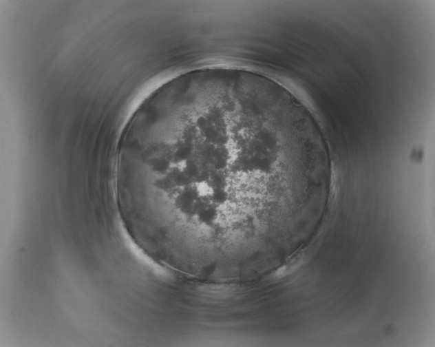 X0000113601247200910021733