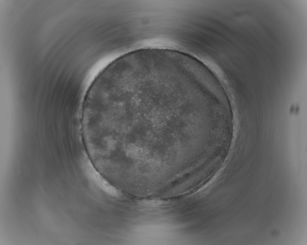 X0000113601248200910021733