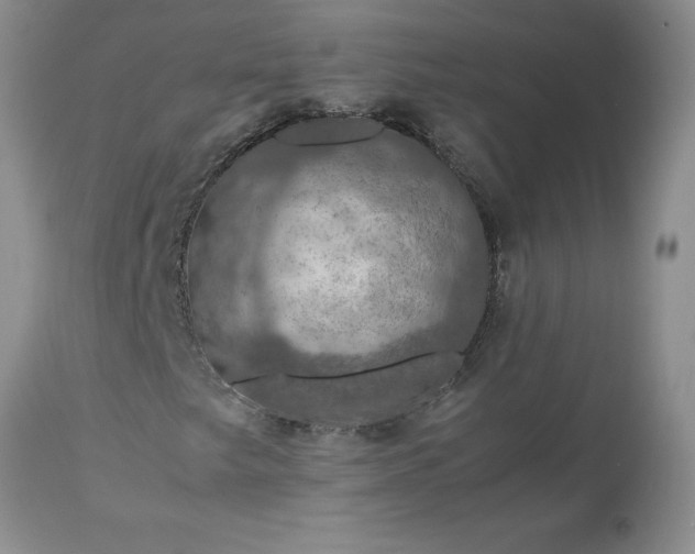 X0000113601249200910021733