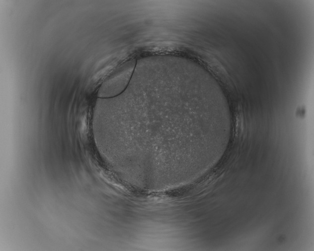 X0000113601250200910021733