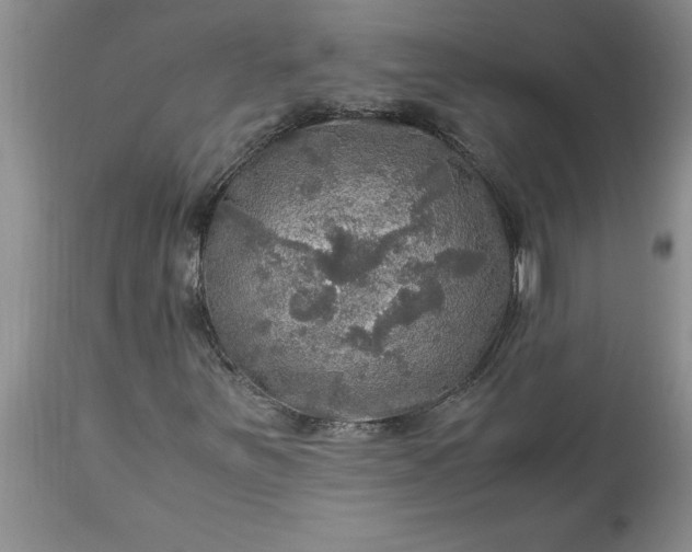 X0000113601251200910021733