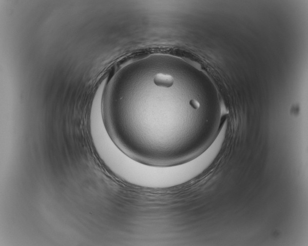 X0000113601252200910021733