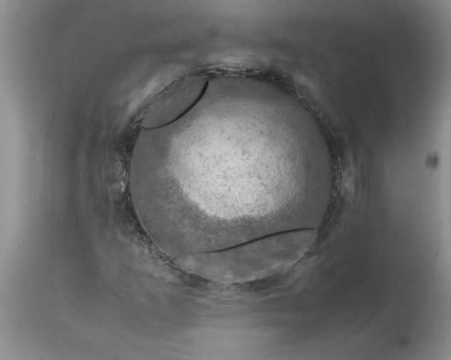 X0000113601253200910021733