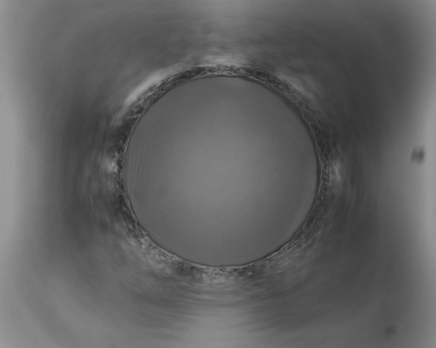 X0000113601254200910021733