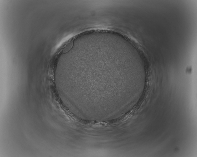 X0000113601255200910021733