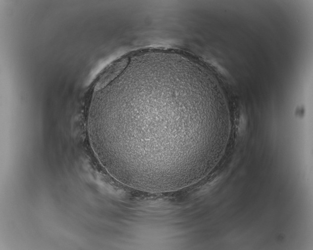 X0000113601256200910021733