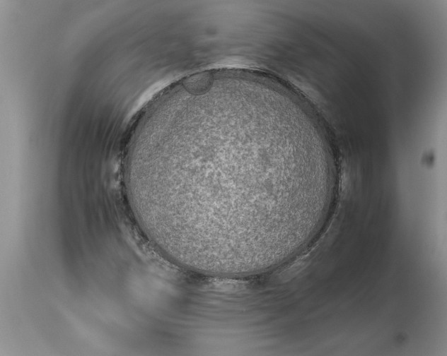 X0000113601258200910021733