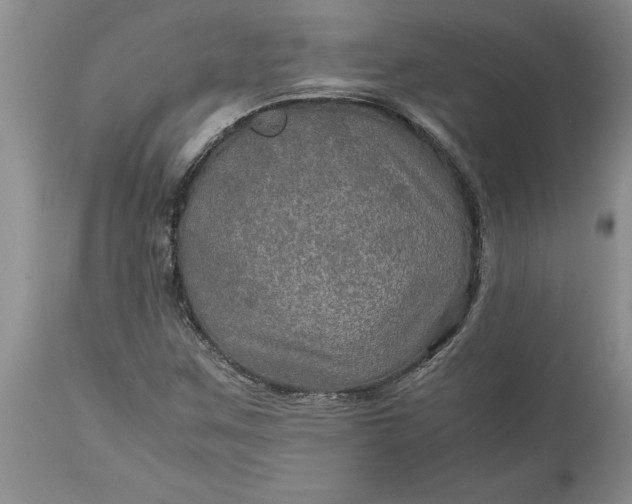 X0000113601259200910021733