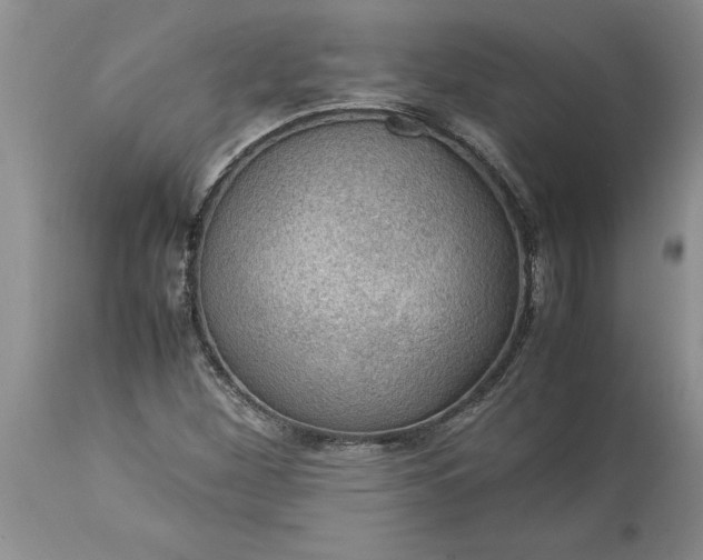 X0000113601260200910021733