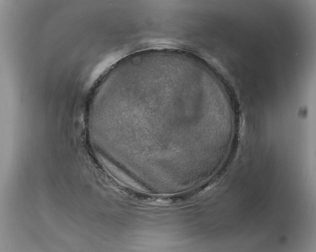 X0000113601261200910021733