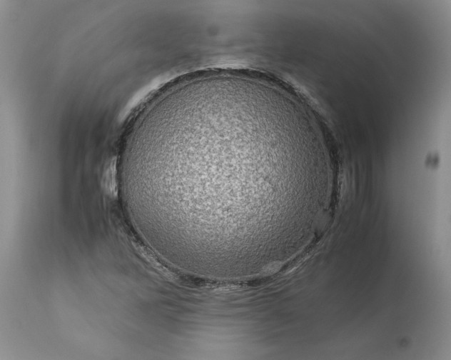 X0000113601262200910021733